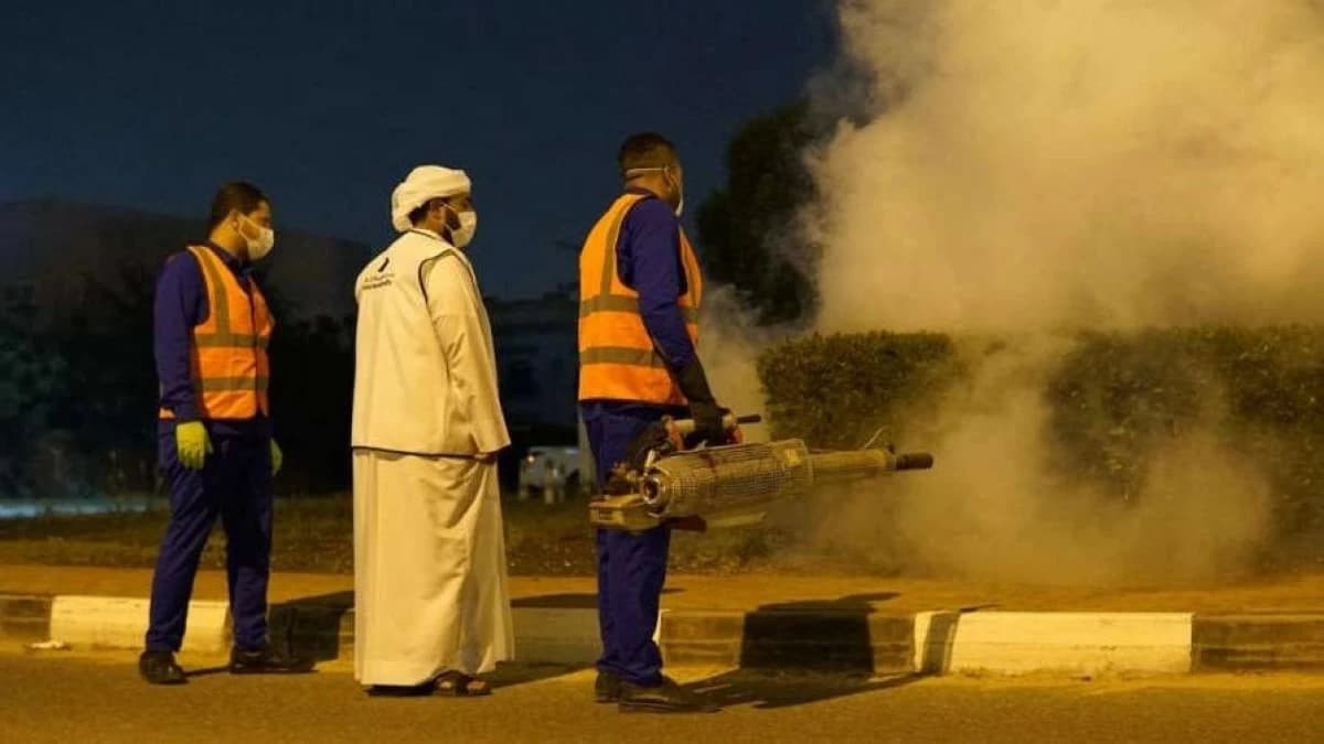 Dubai Municipality guide: How to book pest control, sewage and waste disposal in Dubai