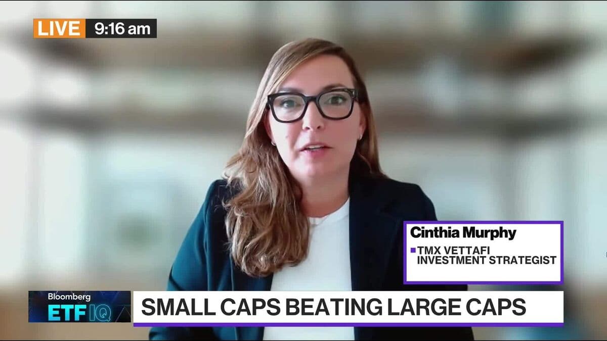 Small Cap ETFs Outperform Despite Skepticism