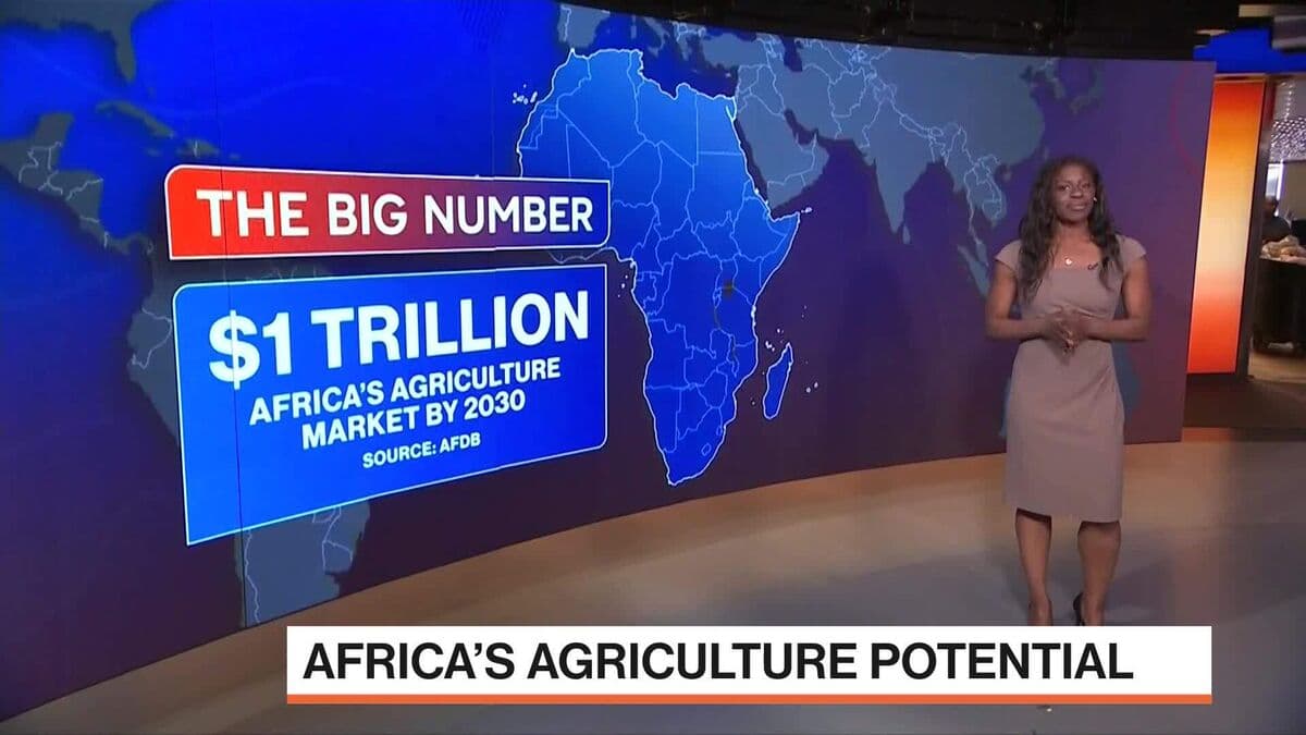 Iran War Drives Africa’s Fertilizer Crisis