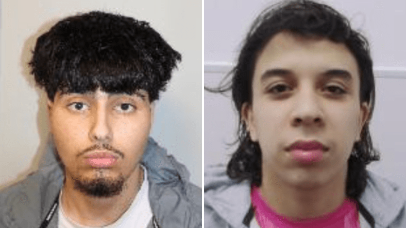 Two men admit to antisemitic hate crime after harassing Jewish people in London TikTok videos