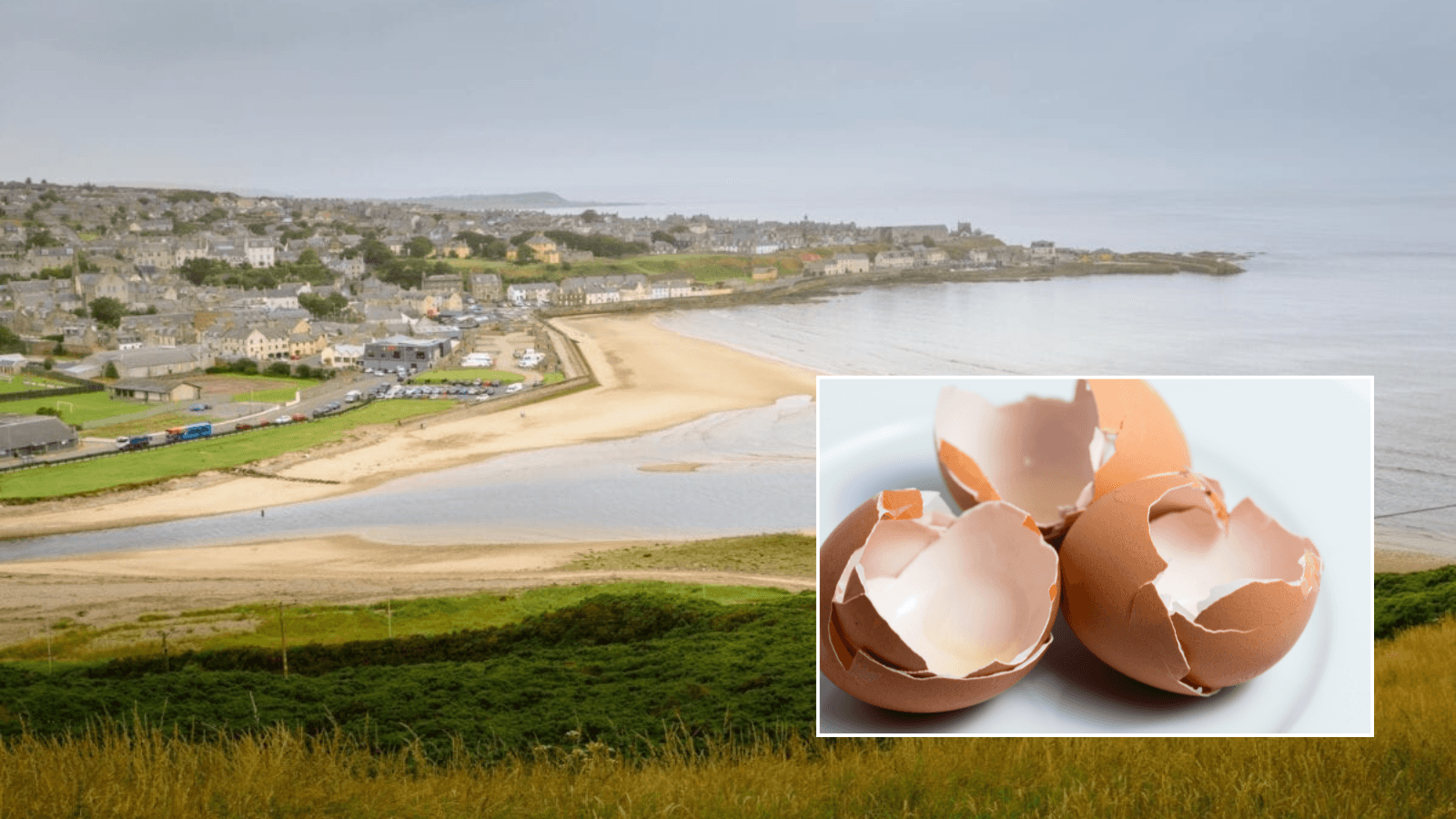 Egg farm fined £53,000 after worker suffered serious nerve damage when arm became trapped in machinery