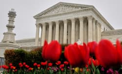 SCOTUS Ends Affirmative Action for House Democrats