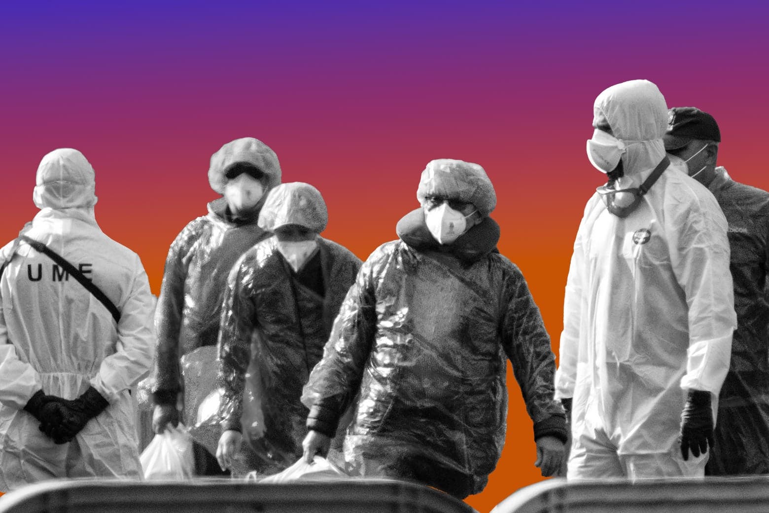 Should I Be Freaking Out About Hantavirus?