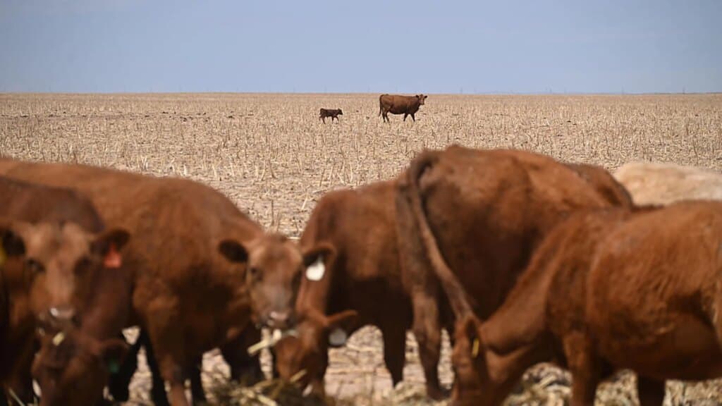 The Worst Spring Drought on Record Is Putting U.S. Crops at Risk