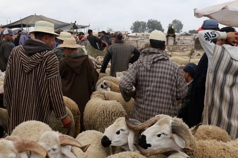 Moroccan Union Calls for 'Eid Bonus' as Early Salary Debate Resurfaces