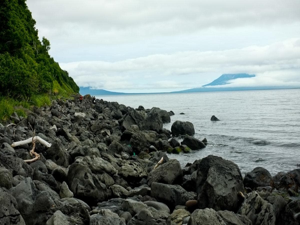 Extremely Rare White Killer Whale Filmed Off Russia’s Kuril Coast