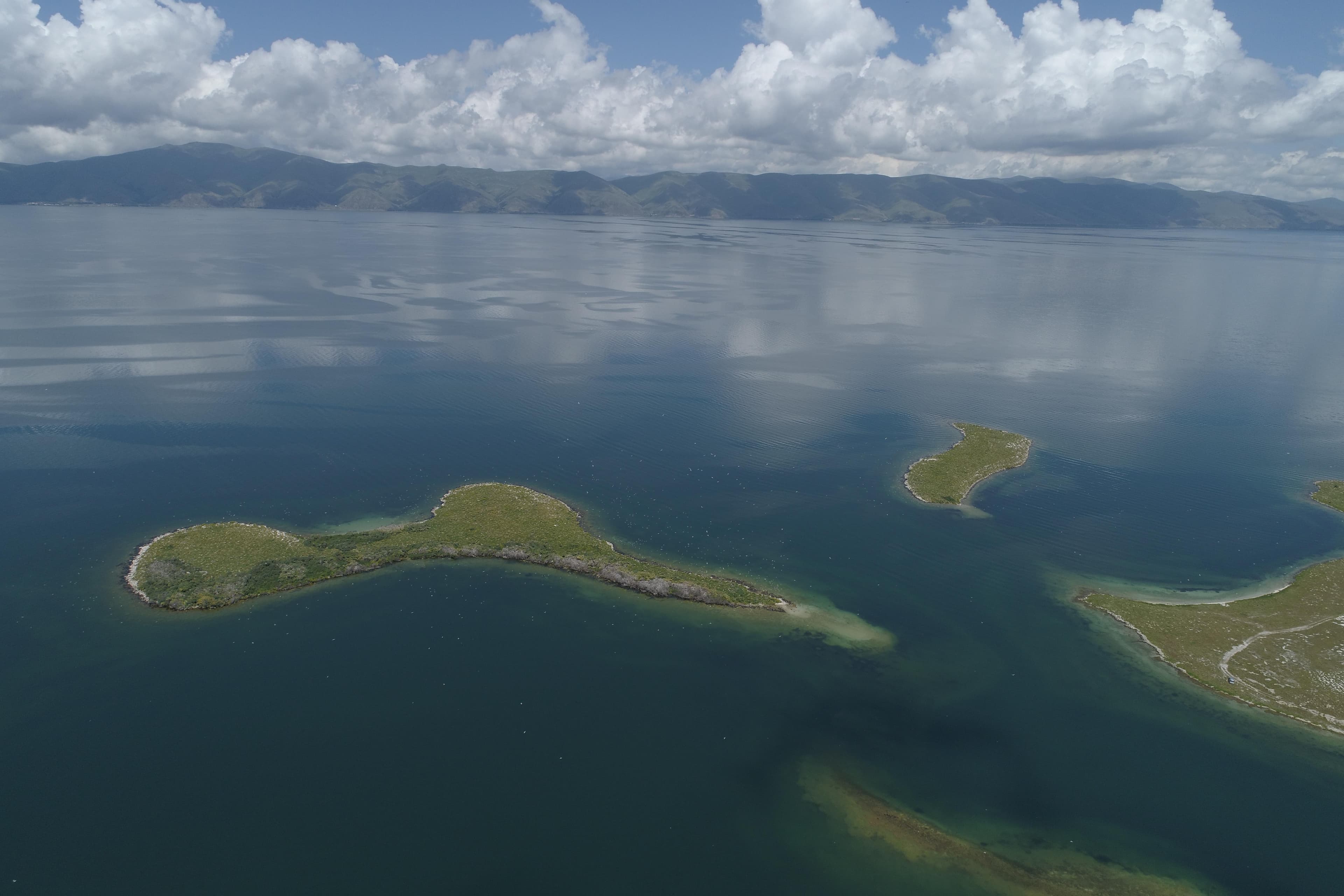 CNF Allocates AMD 57.3 Million for Sevan National Park Upkeep