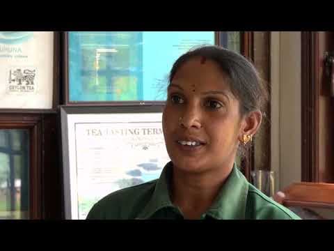 Middle East conflict hits Sri Lanka tea industry