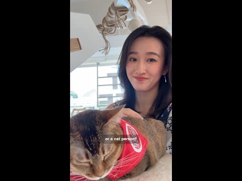 East Asia sees cat ownership boom