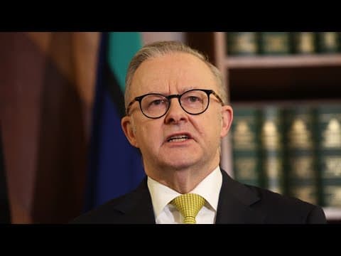 Albanese’s spending spree risks pushing private sector ‘backwards’