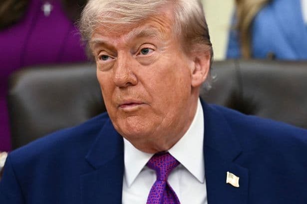 Trump slammed as a 'moron' for glaring math error