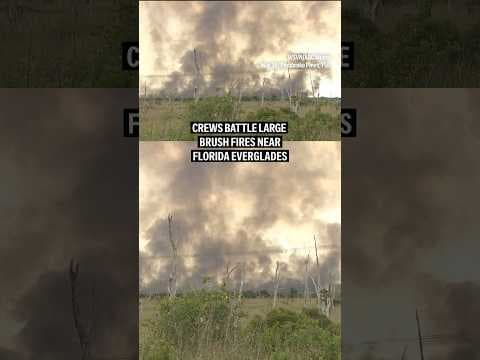Crews battle large brush fires near Florida Everglades