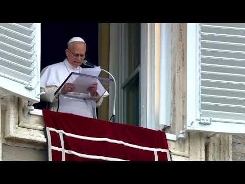 Pope thanks Canary Islands for hantavirus patient 'hospitality'