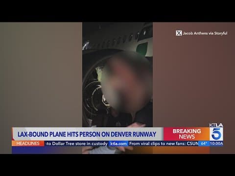 'Everybody seemed panicked': Passenger on LAX-bound flight that struck person in Denver reacts to ta
