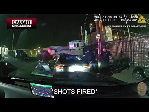 20 Days in the LAPD - Caught on Camera