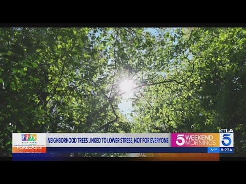 Scientists say living near trees could help lower stress levels