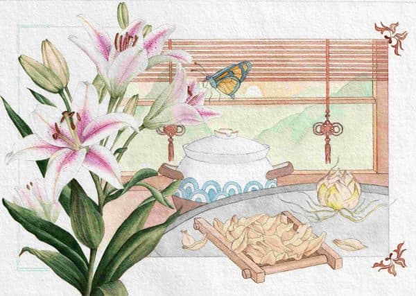 Unravelling the Mystery of Traditional Chinese Herbs: Lily bulb (百合 Bai He)