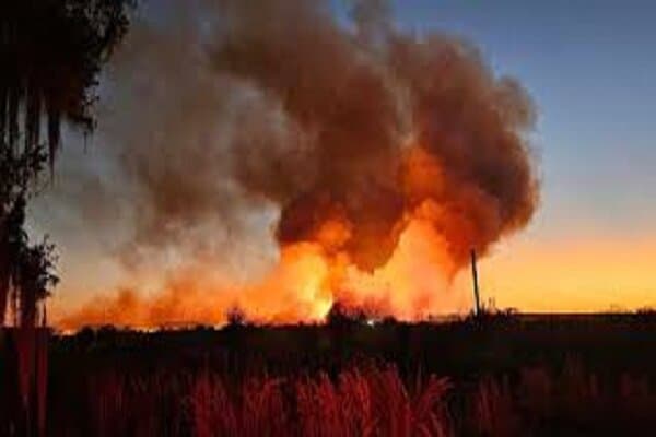 VIDEO: A fast-moving forest fire rips through Florida