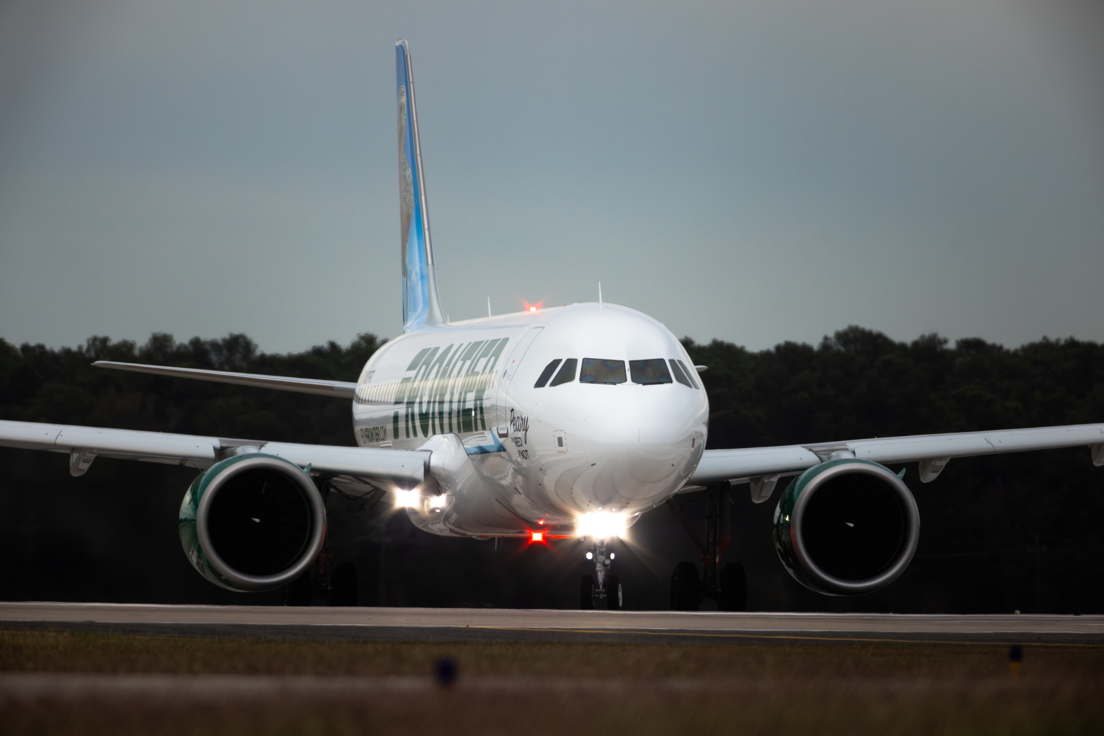 The Moment Pilot Realizes Plane Packed With Passengers Hit Person On Runway
