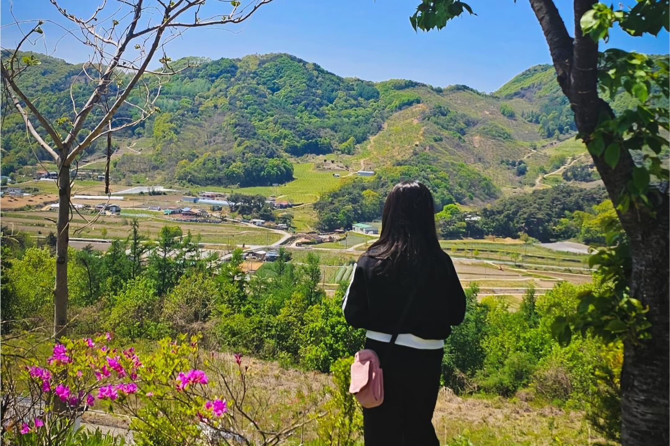 Korean culture without K