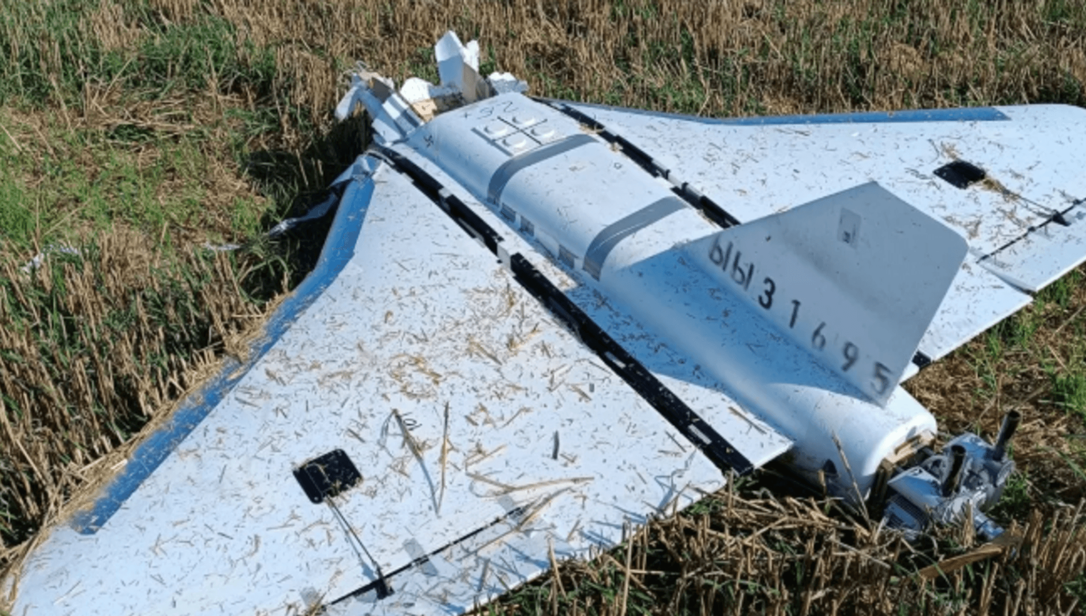 Russia Uses Gerbera Drones to Drop Armed FPVs Over Ukrainian Border Regions