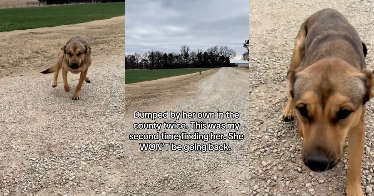 A Woman Took In A Dog Who’d Been Dumped Twice On A Rural Road