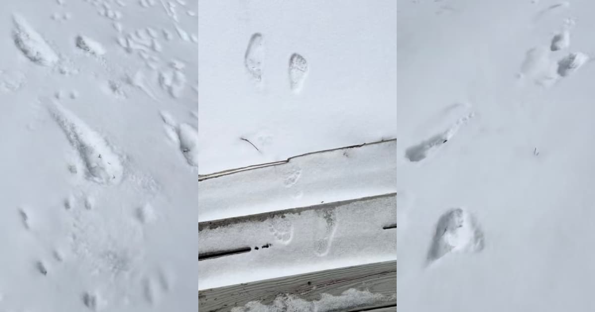 Man Discovers Unexplained Footprints in the Snow Outside His House