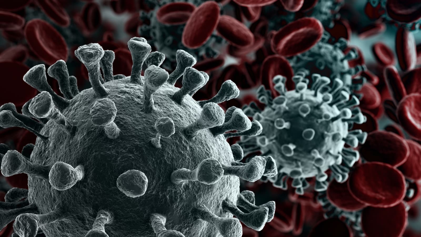 Research Suggests That Some Hosts May Help A Virus To Evolve To Better Spread, Offering Possible