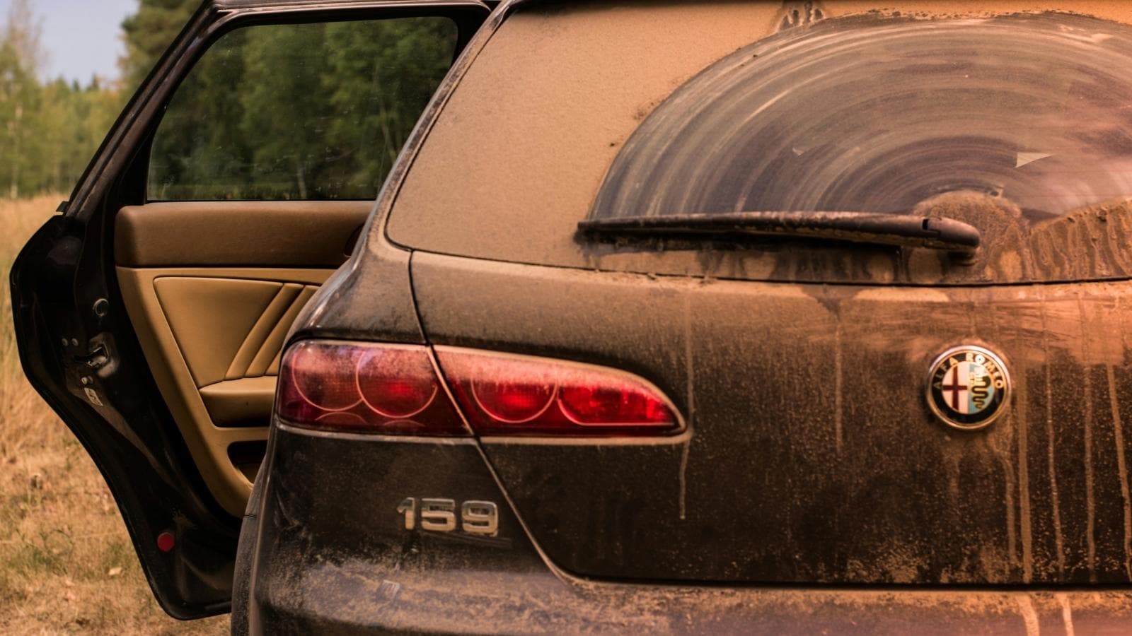 The Sawdust Shower: Why One Homeowner Finally Snapped After Her Neighbors Turned Her Driveway Into a Construction Zone