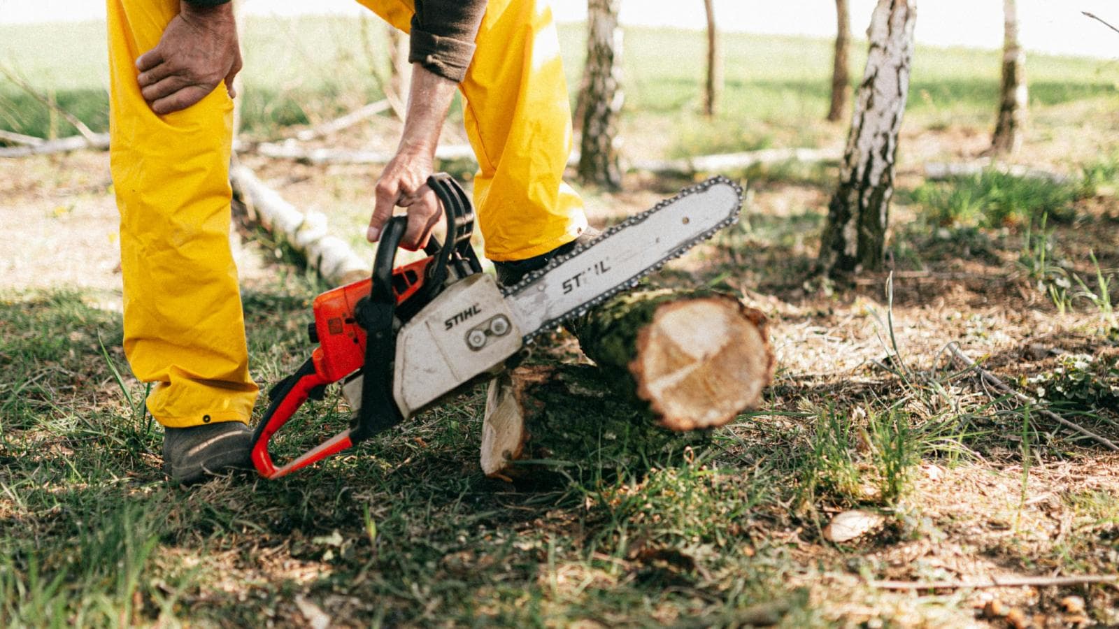 ‘If I Can’t Sleep, No One Can’: Why This Woman’s Morning Yard Work Is Sparking a Major Neighborhood Feud