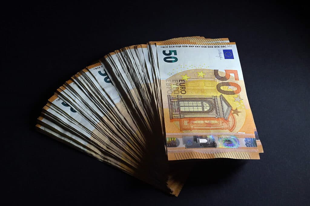 Euro dominates extra-EU trade in primary goods