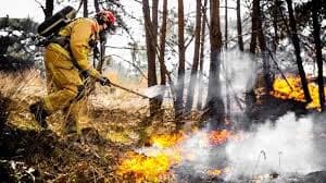 Climate Change Fuels Record-Breaking Wildfires Worldwide