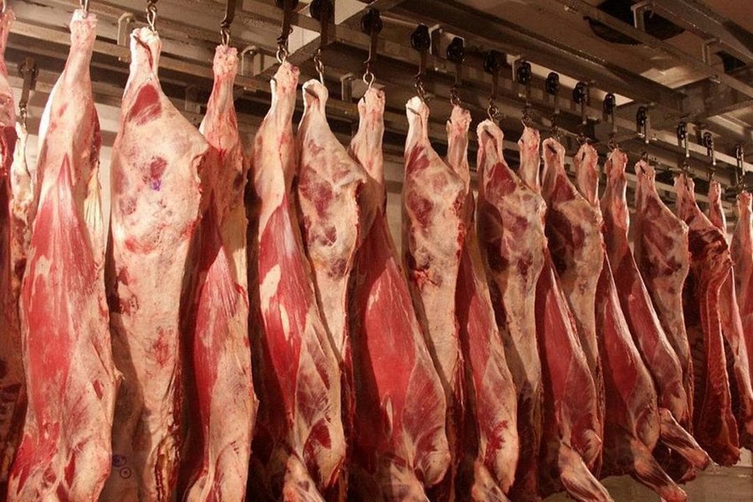 Meat production in Kazakhstan’s Zhetysu region increases