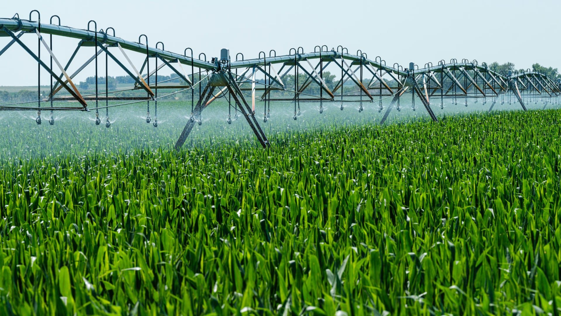 Tajikistan increases crop production output in 1Q2026