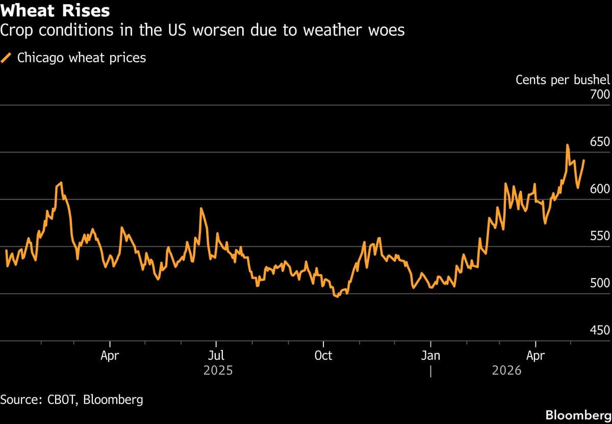 Wheat Extends Gains as Poor Weather Worsens US Crop Conditions