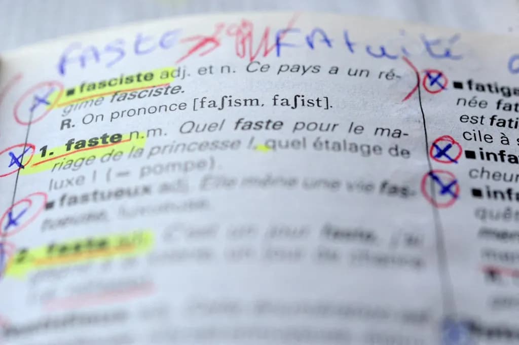 French language test website down