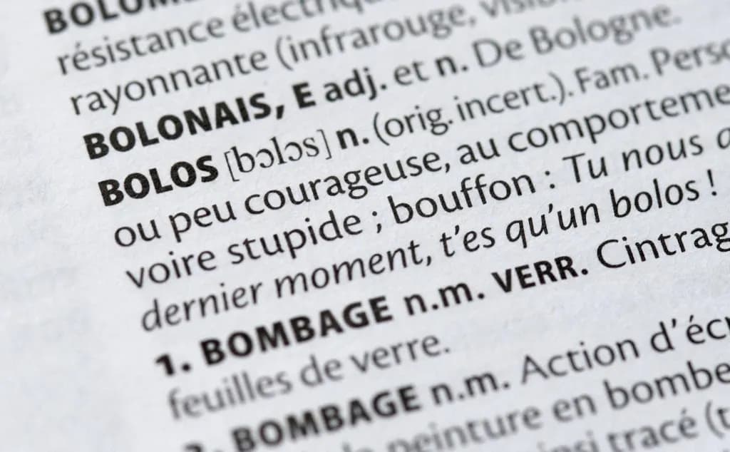 The new words added to the French dictionary for 2027