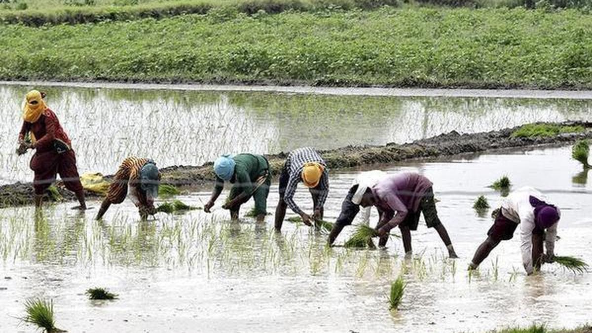Future inflation trajectory will be shaped by pass thru of higher energy prices, progress of Kharif sowing