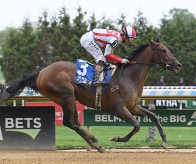 Field still not set as Preakness Stakes draw looms