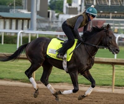 Three Derby runners return for Saturday's wide-open Preakness Stakes