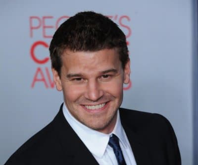 Look: David Boreanaz teases NBC's new 'Rockford Files' series