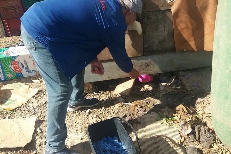 Morocco intensifies anti-rodent operations at northern ports and airports over hantavirus concerns