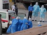 Could hantavirus trigger a pandemic... and just how worried should we be? Experts answer ALL your questions as the deadly cruise ship outbreak sparks alarm