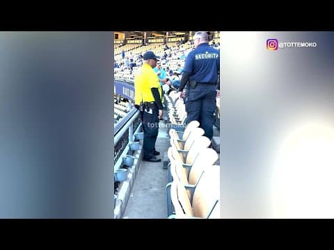 Dodgers security tries to catch stray cat