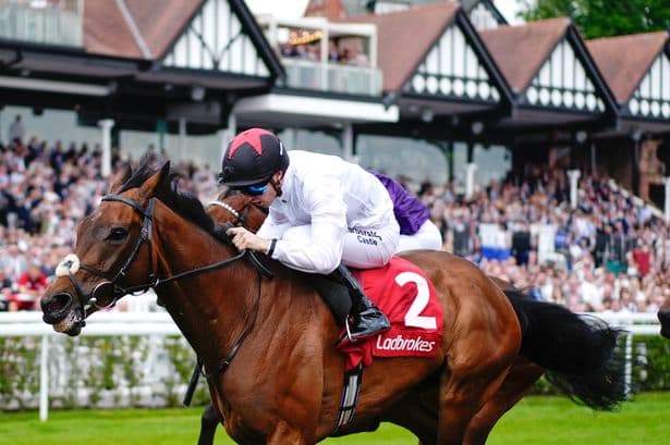 Irish jockey wins €197k race after returning from injury that saw him miss €26m night