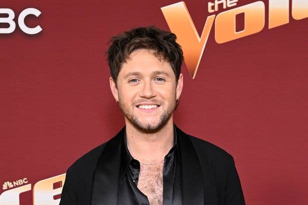 Niall Horan says he 'had to' rewrite song following tragic Liam Payne death