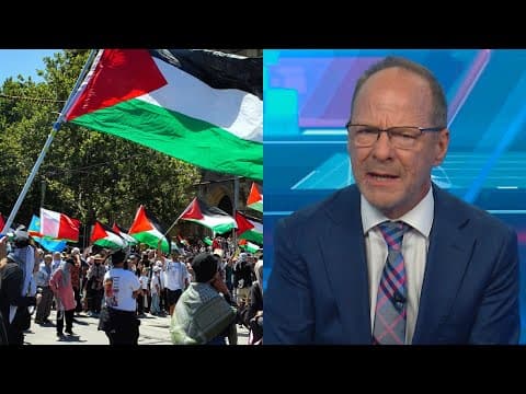 TV host pushes back over Gaza claims made at Sydney rally