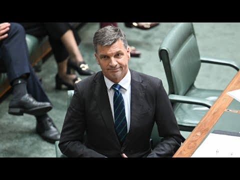Coalition’s finally got their ‘mojo back’ as they plan to ‘fight all of Labor’s bad taxes’