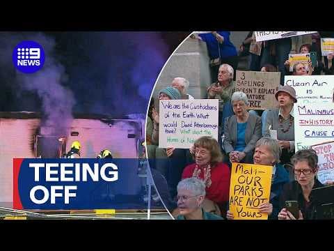 Protestors and police tee off in fight for tree preservation | 9 News Australia