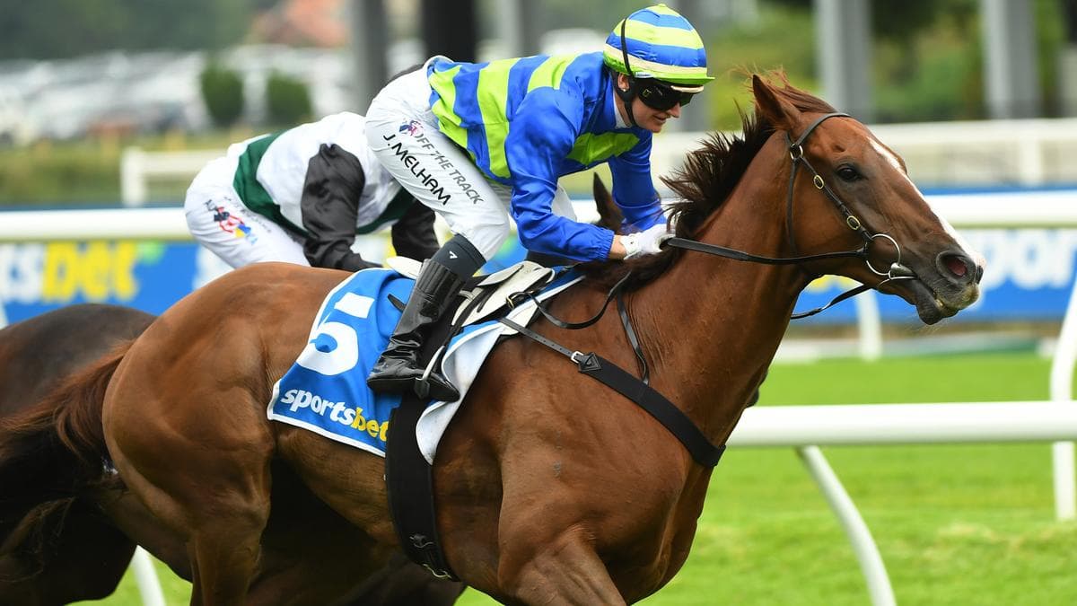 Ciaron Maher launches assault on Queensland with Group 1 action heating up this weekend